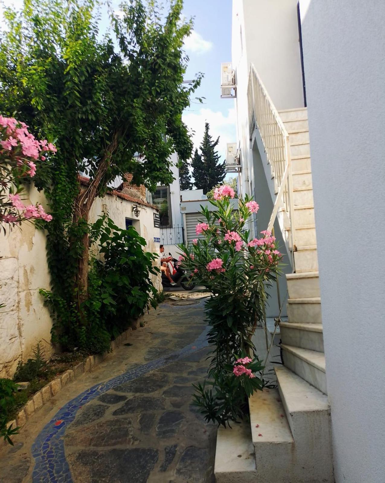 Kardelen Otel Bodrum Eksteriør billede